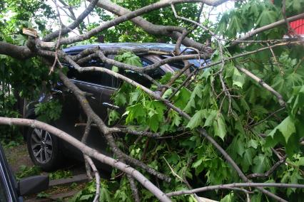 Нижний Новгород. Автомобиль, поврежденный упавшим деревом во время урагана на одной из улиц города.