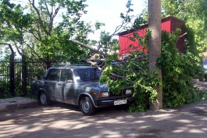 Нижний Новгород. Автомобиль, поврежденный упавшим деревом во время урагана на одной из улиц города.