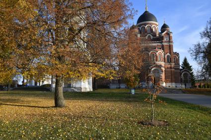 Московская область, Ворошилово. Вид на Спасо-Бородинский монастырь.