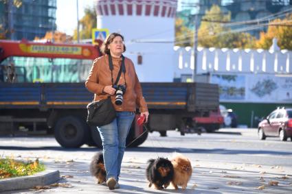 Москва. Дама с собачками у стен Новодевичьего монастыря.