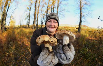 Оренбург. Женщина собирает грибы.