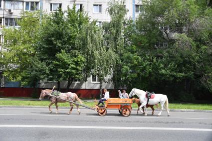 Москва.  Конная повозка на одной из улиц города.