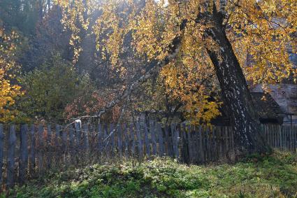 Московская область. Вид на усадьбу `Петровское-Алабино`.