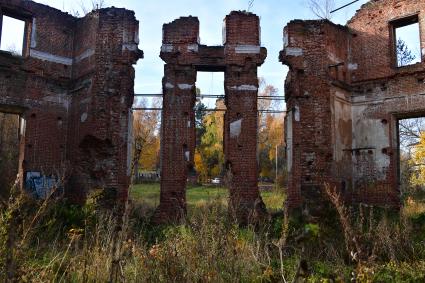 Московская область. Вид на усадьбу `Петровское-Алабино`.