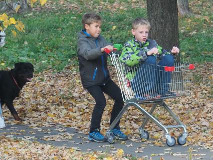 Московская область. Мальчики катаются в продуктовой тележке.