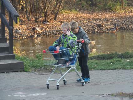 Московская область. Мальчики катаются в продуктовой тележке.