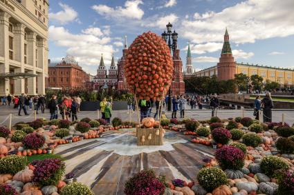 Москва.  Фестиваль `Золотая осень` на  Манежной площади.