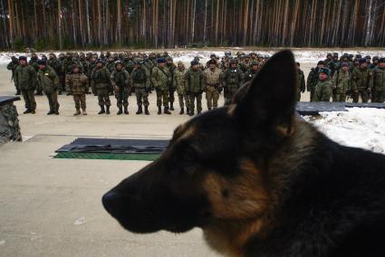 Екатеринбург. Свердловский полигон. Военнослужащие армии государств-членов ОДКБ (Организация Договора о коллективной безопасности) во время совместных учений миротворческих сил \'Нерушимое братство – 2018\'