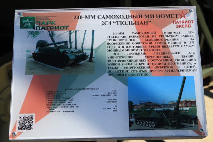 Диск 301. Самоходный миномет Тюльпан