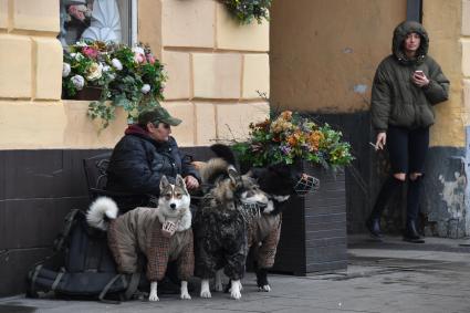 Москва. Женщина с собаками.