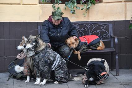 Москва. Женщина с собаками.