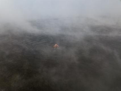 Красноярск.  Моржи из клуба `Криофил`открыли купальный сезон в Енисее.