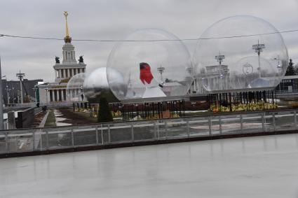 Москва. Подготовка катка на ВДНХ.