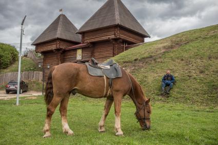 Московская область, Дмитров.  Конь у Никольских ворот Дмитровского кремля.