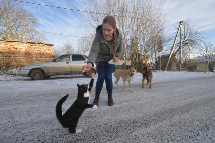 Псковская область, Изборск. Девушка кормит кота.