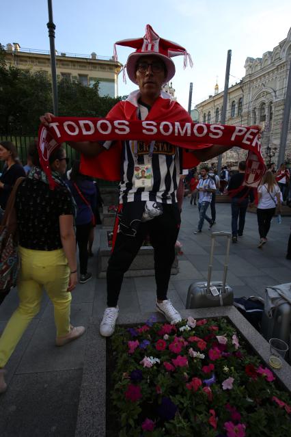 Диск299. Чемпионат мира по футболу 2018 FIFA. На снимке: футбольный болельщик