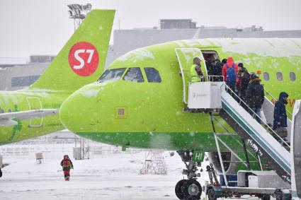 Московская область. Самолеты  Airbus A319  авиакомпании S7 в аэропорту Домодедово.