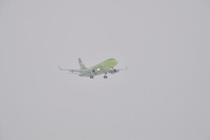Московская область. Самолет Airbus A319 авиакомпании S7 в аэропорту Домодедово.