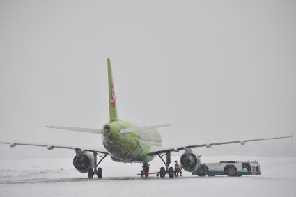 Московская область. Самолеты  Airbus A319  авиакомпании S7 в аэропорту Домодедово.