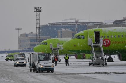 Московская область. Самолеты  Airbus A319  авиакомпании S7 в аэропорту Домодедово.