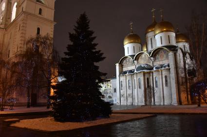 Москва. Вечернее освещение Успенского собора Кремля.