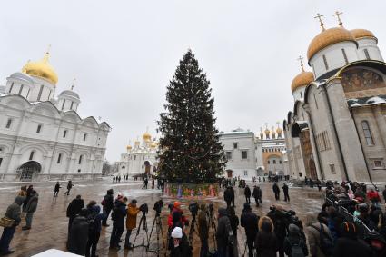 Москва.  Украшенная новогодняя елка на Соборной площади Московского Кремля.