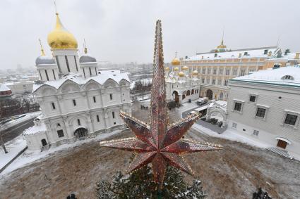 Москва.  Украшенная новогодняя елка на Соборной площади Московского Кремля.