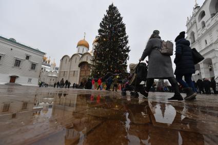 Москва.  Украшенная новогодняя елка на Соборной площади Московского Кремля.