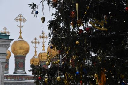 Москва.  Украшенная новогодняя елка на Соборной площади Московского Кремля.