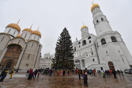 Москва.  Украшенная новогодняя елка на Соборной площади Московского Кремля.