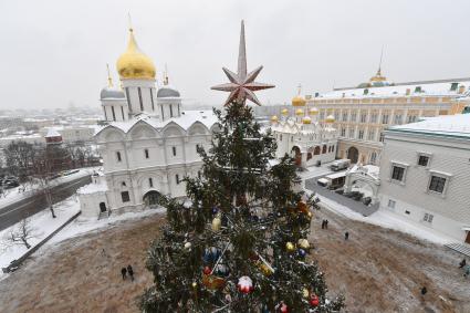 Москва. Украшенная новогодняя елка на Соборной площади Московского Кремля.