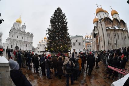 Москва.  Украшенная новогодняя елка на Соборной площади Московского Кремля.