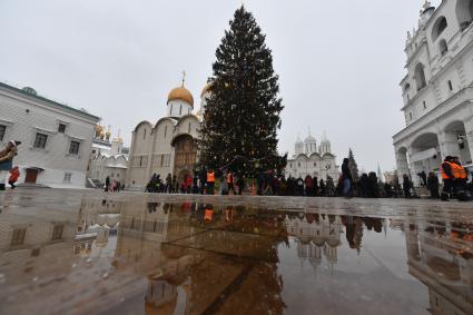 Москва.  Украшенная новогодняя елка на Соборной площади Московского Кремля.