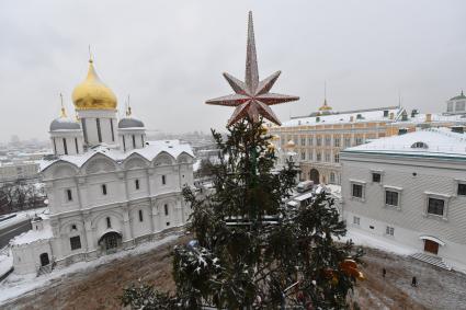 Москва.  Украшенная новогодняя елка на Соборной площади Московского Кремля.