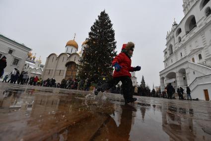 Москва.  Украшенная новогодняя елка на Соборной площади Московского Кремля.