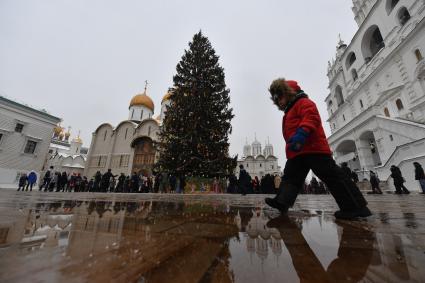 Москва.  Украшенная новогодняя елка на Соборной площади Московского Кремля.