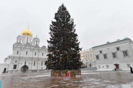 Москва.  Украшенная новогодняя елка на Соборной площади Московского Кремля.