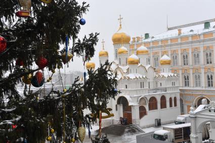 Москва.  Украшенная новогодняя елка на Соборной площади Московского Кремля.