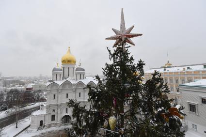 Москва.  Украшенная новогодняя елка на Соборной площади Московского Кремля.