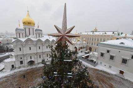 Москва. Украшенная новогодняя елка на Соборной площади Московского Кремля.