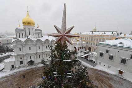 Москва.  Украшенная новогодняя елка на Соборной площади Московского Кремля.