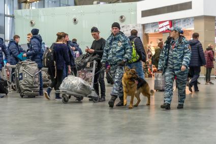 Санкт-Петербург.  Кинологи с собакой в аэропорту Пулково.