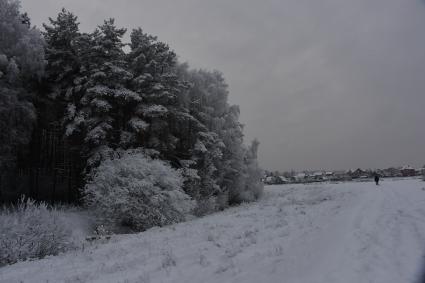 Московская область,Осеченки.  Зимний пейзаж.