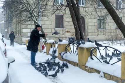 Санкт-Петербург. Мужчина кормит голубей на улице.