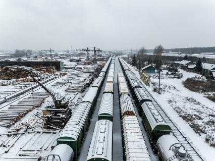 Красноярский край. Китайская лесопилка в Канске.