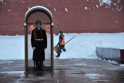 Москва.  Почетный караул у Могилы неизвестного солдата в Александровском саду.