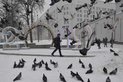 Москва. Голуби на улице Воздвиженка.