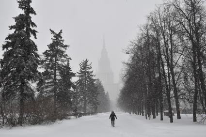 Москва.   Вид на центральное здание Московского государственного университета им. М.В. Ломоносова во время снегопада на Воробьевых горах.