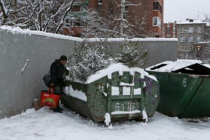 Санкт-Петербург.   Выброшенные елки после празднования Нового года.