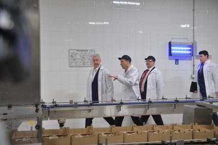 Москва. Мэр Москвы Сергей Собянин на открытии новой линии по производству йогурта и творога на  Лианозовском молочном комбинате.